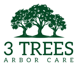 3 trees arbor care 1