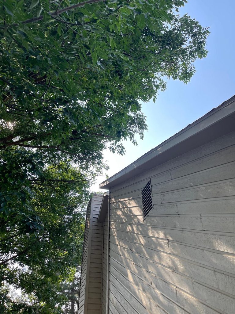 Right Time to Prune